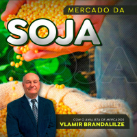 Preço da soja será influenciado por nova alta do petróleo?
