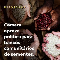 Câmara aprova política para bancos comunitários de sementes