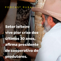 Setor leiteiro vive pior crise dos últimos 30 anos, afirma presidente de cooperativa de produtores.
