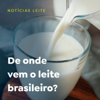 De onde vem o leite brasileiro?