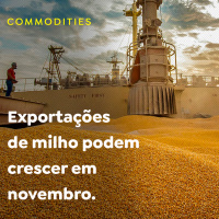 Exportações de milho podem crescer em novembro.