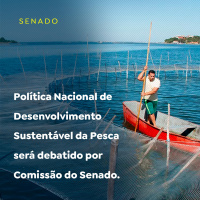Política Nacional de Desenvolvimento Sustentável da Pesca será debatido por Comissão do Senado