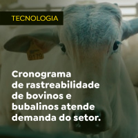 Cronograma de rastreabilidade de bovinos e bubalinos atende demanda do setor