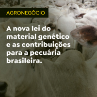 A nova lei do material genético e as contribuições para a pecuária brasileira