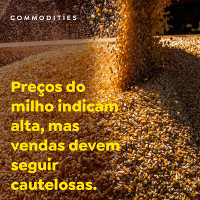 Paracatu Rural - Jornal do agronegócio