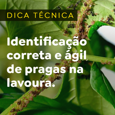 Paracatu Rural - Jornal do agronegócio