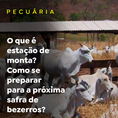 Paracatu Rural - Jornal do agronegócio