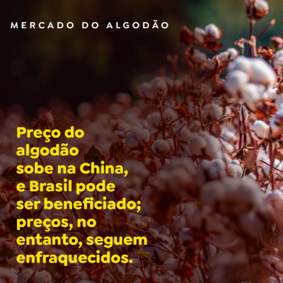 Paracatu Rural - Jornal do agronegócio