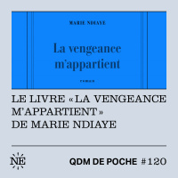 #120 - Le livre La vengeance mappartient de Marie NDiaye