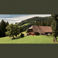 Ferien in der Region? Der Bauernhof Gugenhof und das Camping Sempach warten!