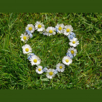 Woher kommen die Frühlingsgefühle?