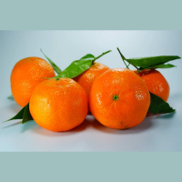 Wieso, Weshalb, Warum: Was ist der Unterschied zwischen einer Mandarine und Clementine?