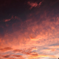 2019 the angelic year 3