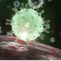 Speaking on Coronavirus/Pebbles