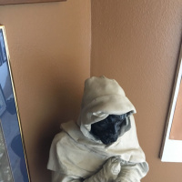 About the word Nigga W/ Loki