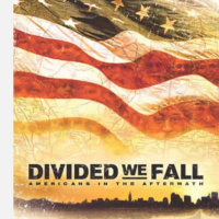 Divided we fall