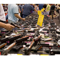 Gun violence solution