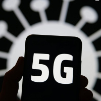 Covid195g/Marcus Muhd