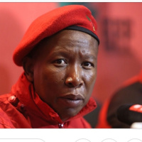 Julius Malema