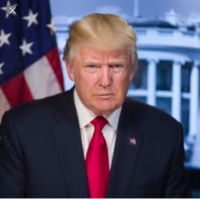 Trump: stock market will crash