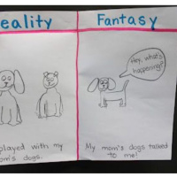 Fantasy vs. Reality