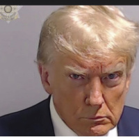 Trump  Black Votes/Marcus Muhd