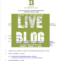 CITY COUNCIL REGULAR BUSINESS MEETING TUESDAY, AUGUST 11, 2020 | FULL AUDIO