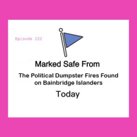 222 - Political Bad Breaks and Misunderstandings, City Council Meeting