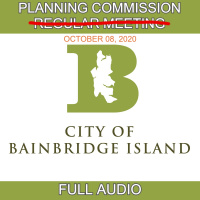 PLANNING COMMISSION SPECIAL MEETING THURSDAY, OCTOBER 08, 2020