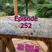 252 - The New Weekend Wrap-Up | Holiday Shopping, Cuban Jazz Kids and Packed Week of Guests Ahead