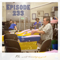233 - The Hanging Chad - Post Election Break Down, Night of Surprises and Lingering Races