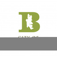 BAINBRIDGE ISLAND CITY COUNCIL STUDY SESSION (FULL AUDIO) TUESDAY, AUGUST 04, 2020