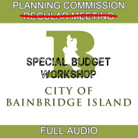 CITY COUNCIL SPECIAL BUDGET WORKSHOP WEDNESDAY, NOVEMBER 04, 2020