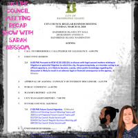 315 | The Council Meeting Recap Show with Sarah Blossom | Wake Up Bainbridge
