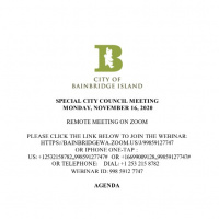 EXECUTIVE SESSION  CITY MANAGER SEARCH UPDATE | 11.16.2020