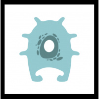 041 - The Bainbridge Island Review, Review | Friday May 10 Edition