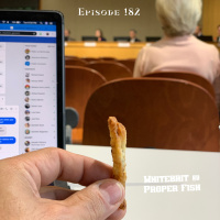 182 - City of Bainbridge Island Council Meeting Prep Show 