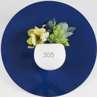 305 | Design with Denise | Designer Dumpster Diving | Wake Up Bainbridge Show Segment