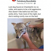 003 - Coyotes, Not Guilty and Growing Up Catholic Teaser