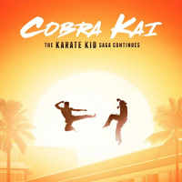 Cobra Kai season 1 review!! 