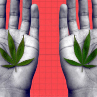 What should be legalized medical marijuana or recreational marijuana?
