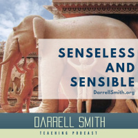 Senseless and Sensible