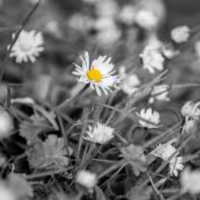 Moving From Grief To Hope