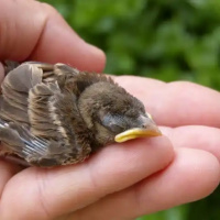 God Will Take Care Of You