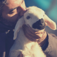 The Shepherd And The Butcher