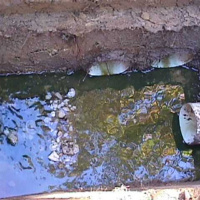 Living In A Cess Pool