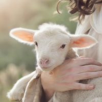 Second Sunday After Easter 2021