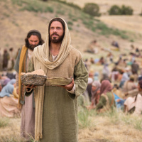 Christ Tender Passion Toward Sinners