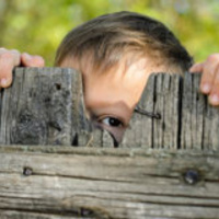 Beyond The Picket Fence