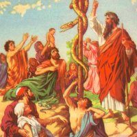 To Whom Do You Look Up To?